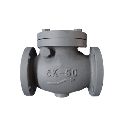 MARINE CAST IRON SWING CHECK VALVE